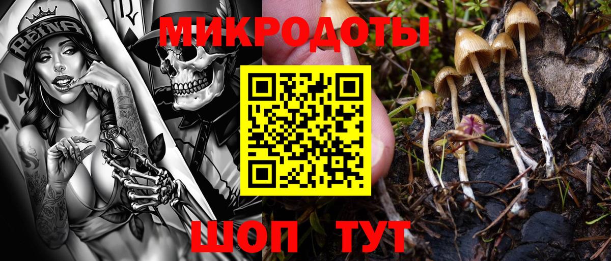 Галлюциногенные грибы прущие грибы Егорьевск