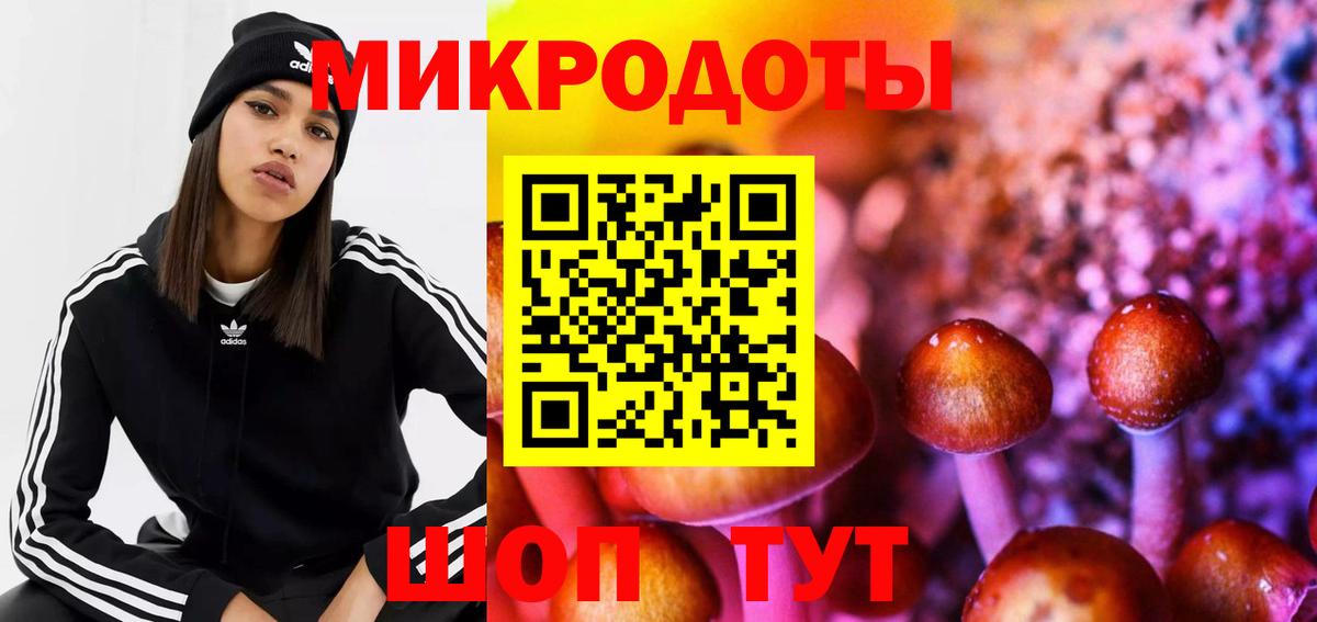 Егорьевск  Галлюциногенные грибы Magic Shrooms  Вход с VPN  Галлюциногенные грибы Magic Shrooms 